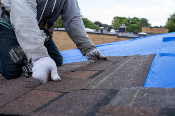 Best Rubber Roofing (EPDM, TPO)  in Homestead, PA